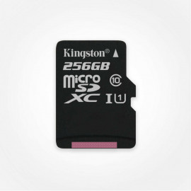 256Go Kingston Micro-SD Canvas Select Plus - F42
